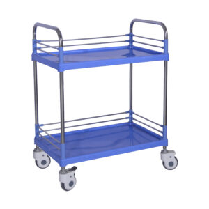 Multi-functional trolley